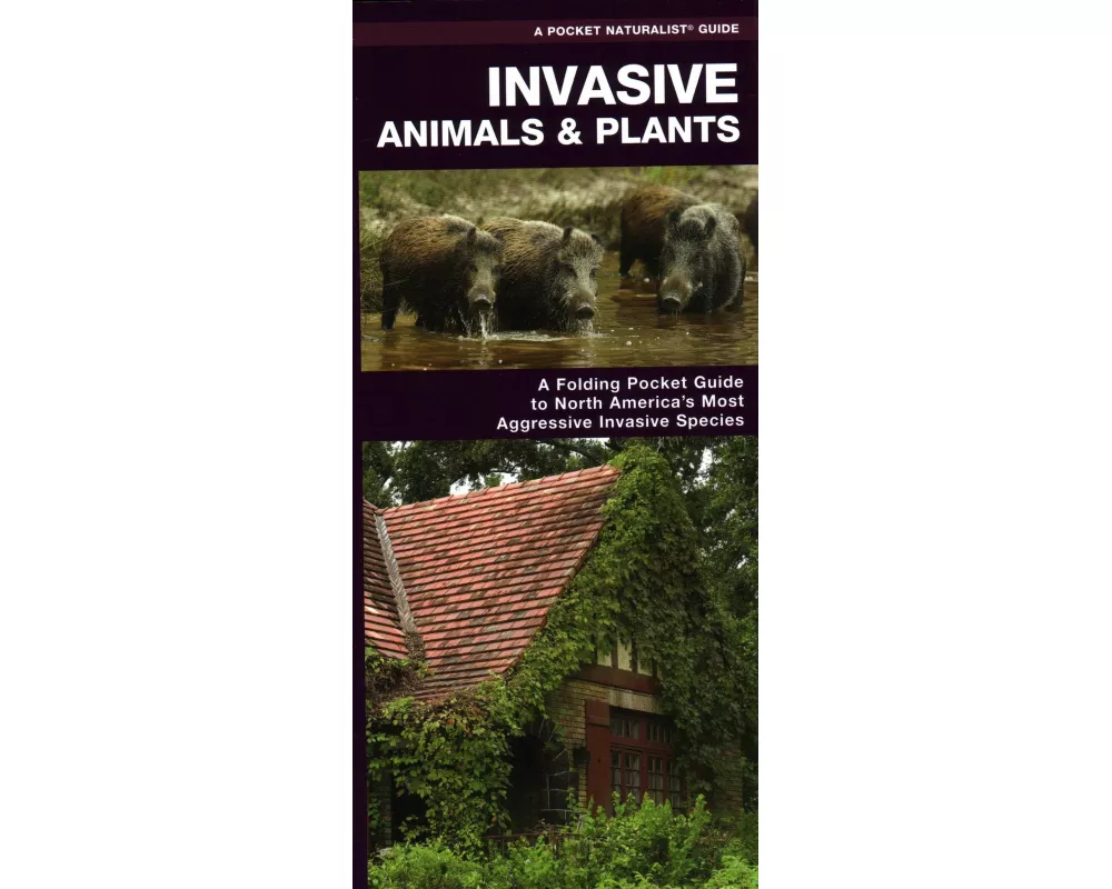 Invasive Animals & Plants