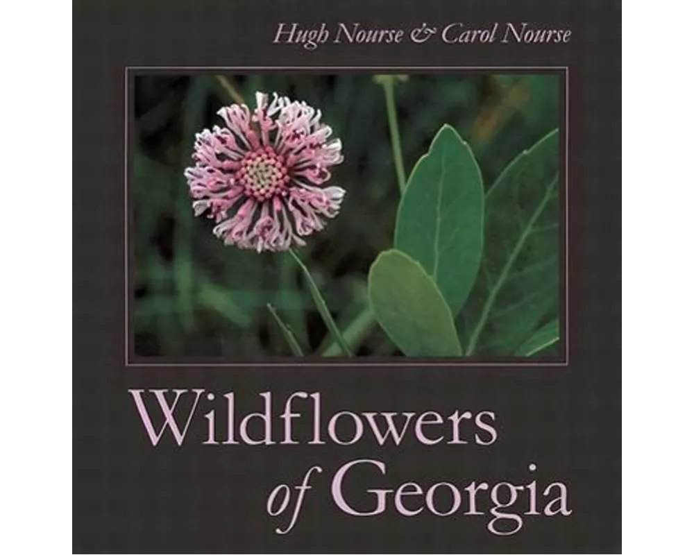 Wildflowers of Georgia