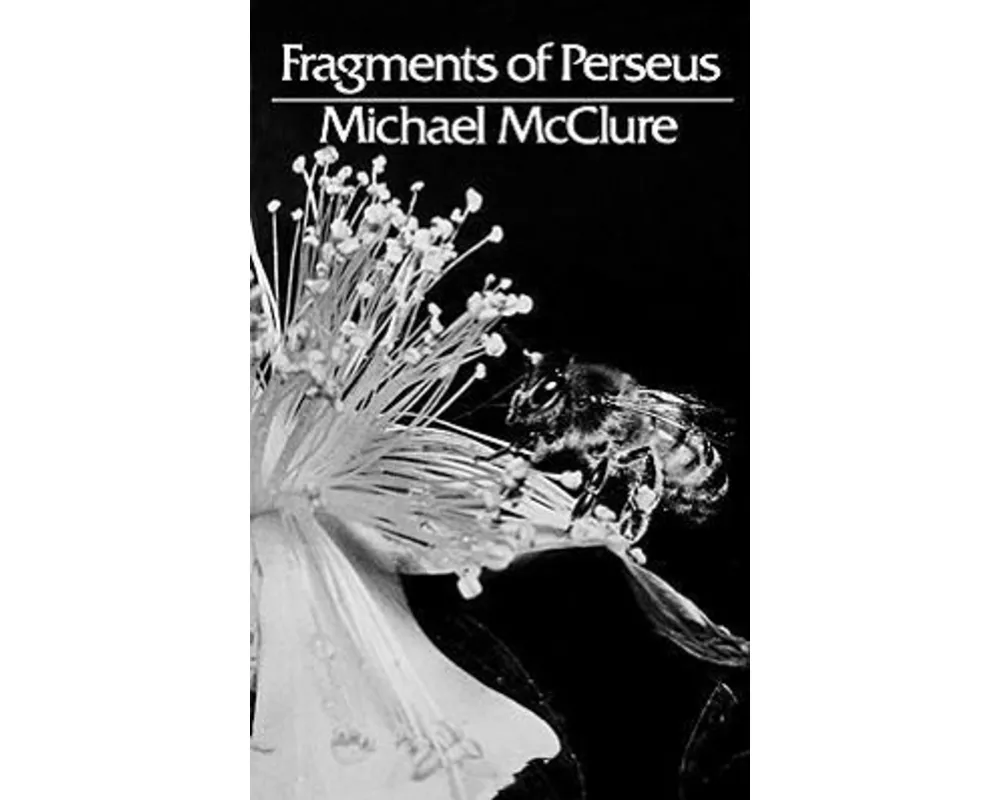 Fragments of Perseus