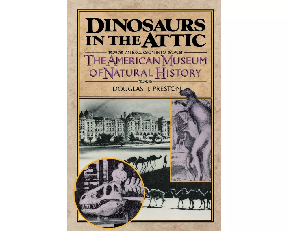 Dinosaurs in the Attic