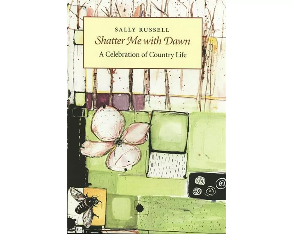 Shatter Me with Dawn