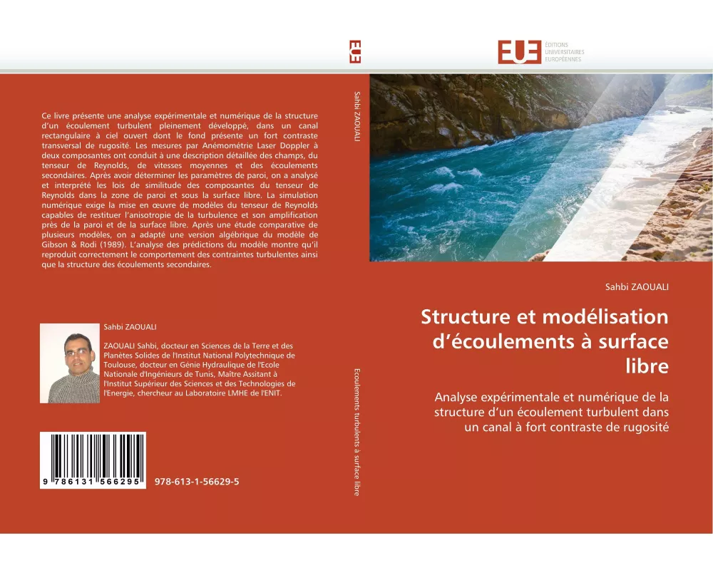 Structure et modélisation d'écoulements à surface libre
