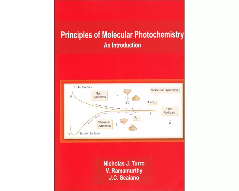 Principles of Molecular Photochemistry