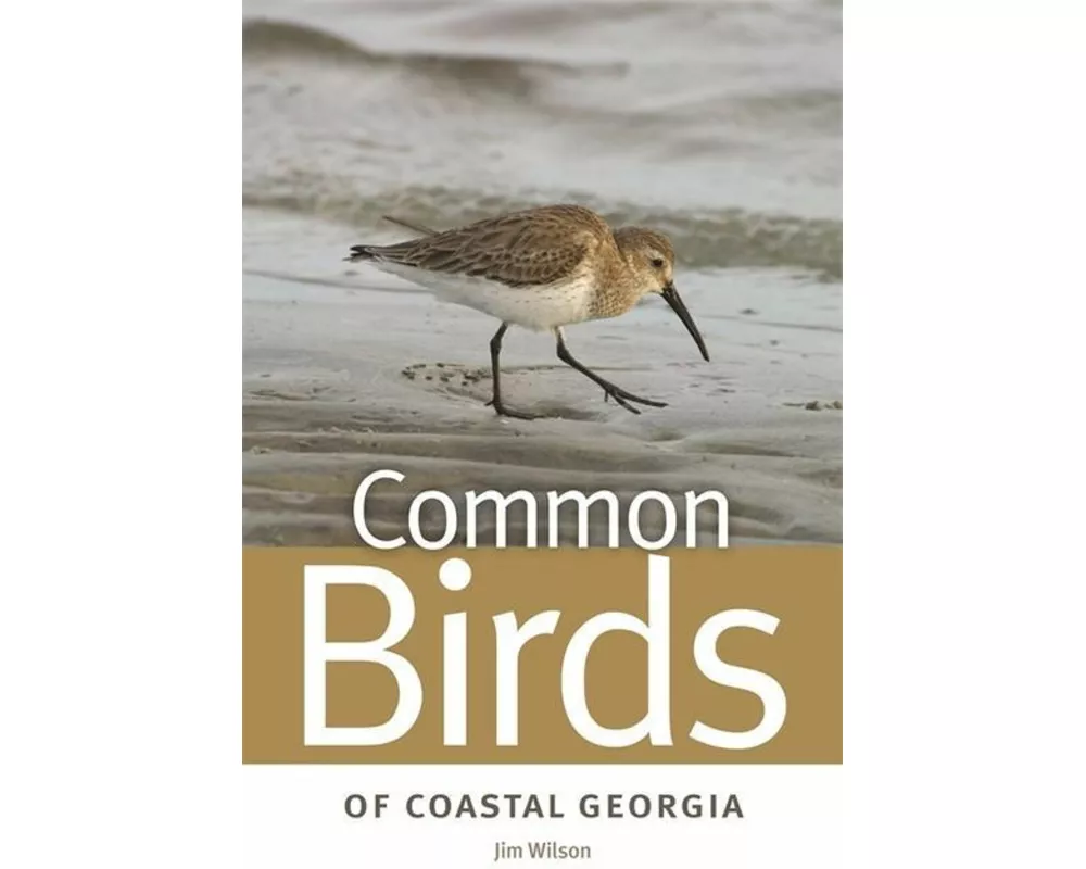 Common Birds of Coastal Georgia