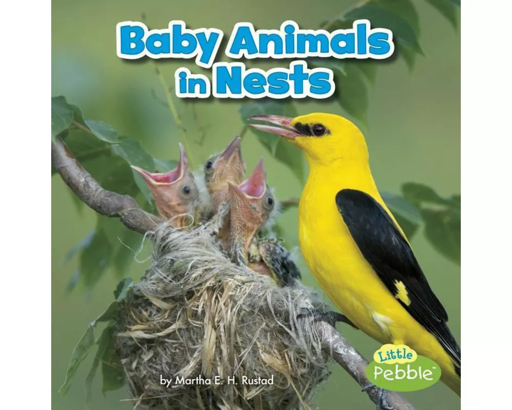 Baby Animals In Nests