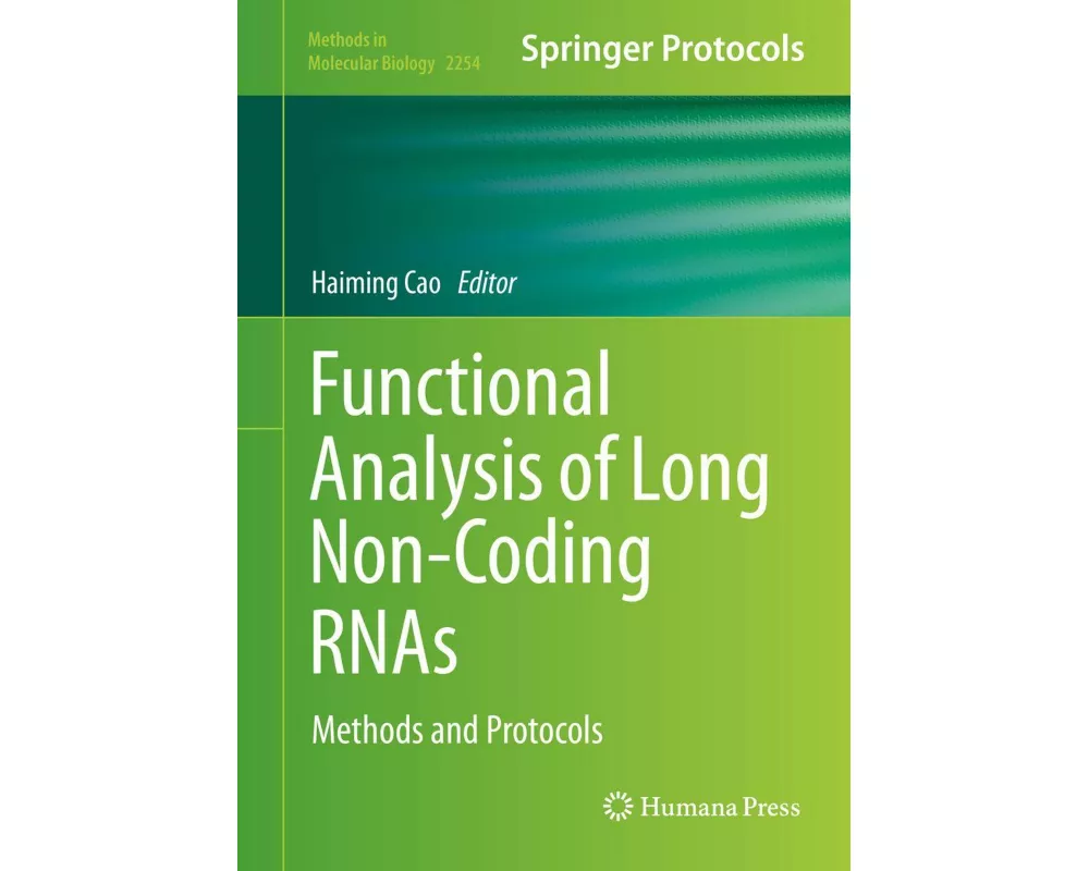 Functional Analysis of Long Non-Coding RNAs