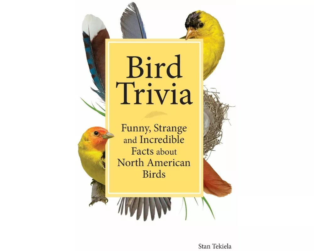 Bird Trivia