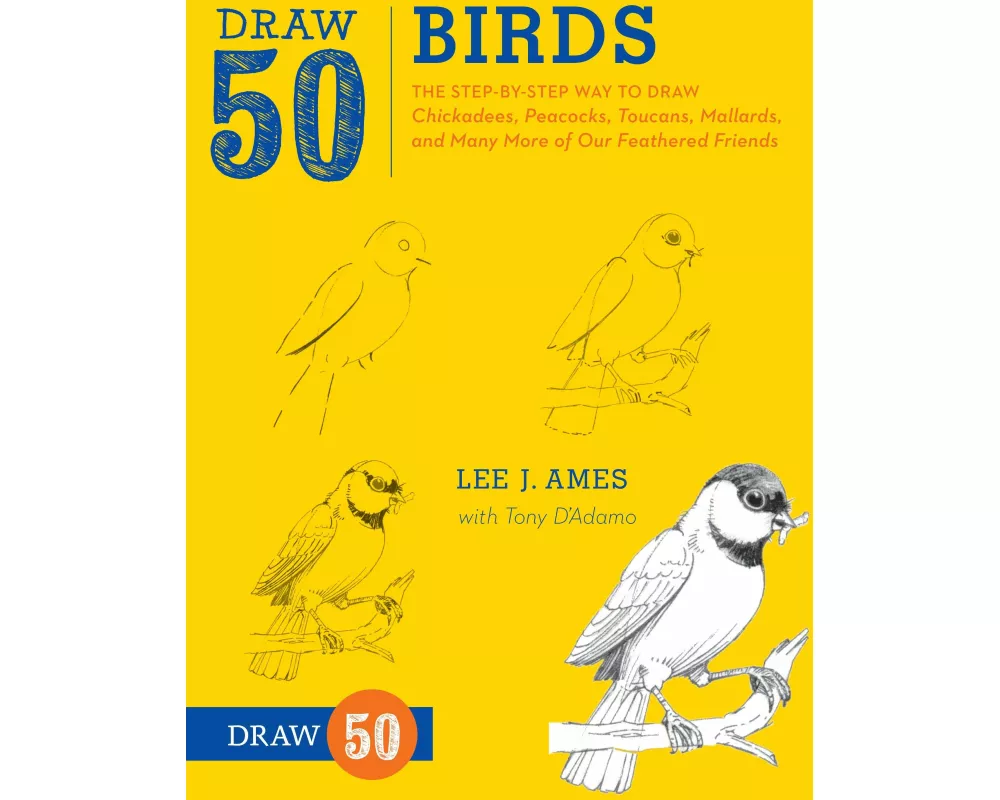 Draw 50 Birds