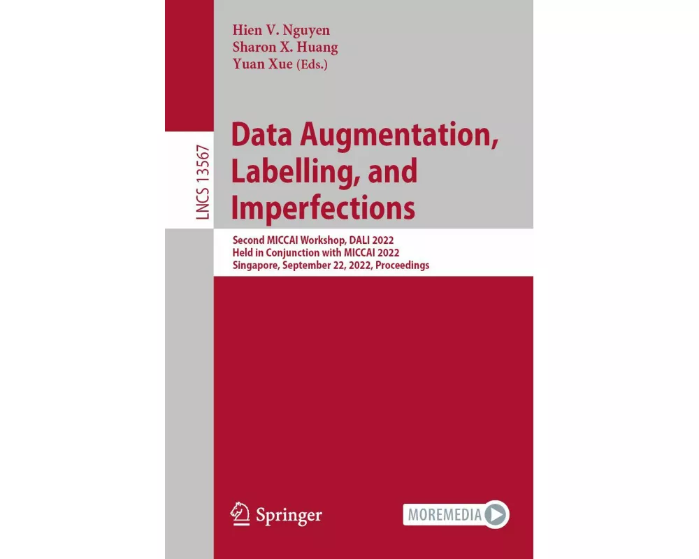 Data Augmentation, Labelling, and Imperfections