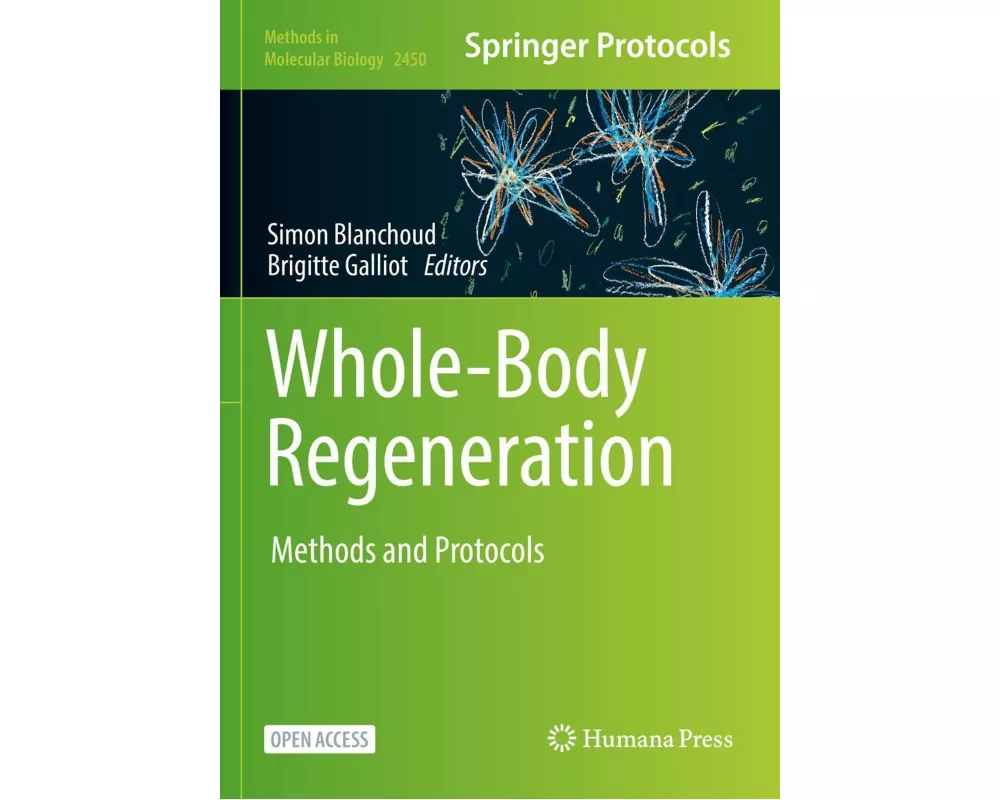 Whole-Body Regeneration