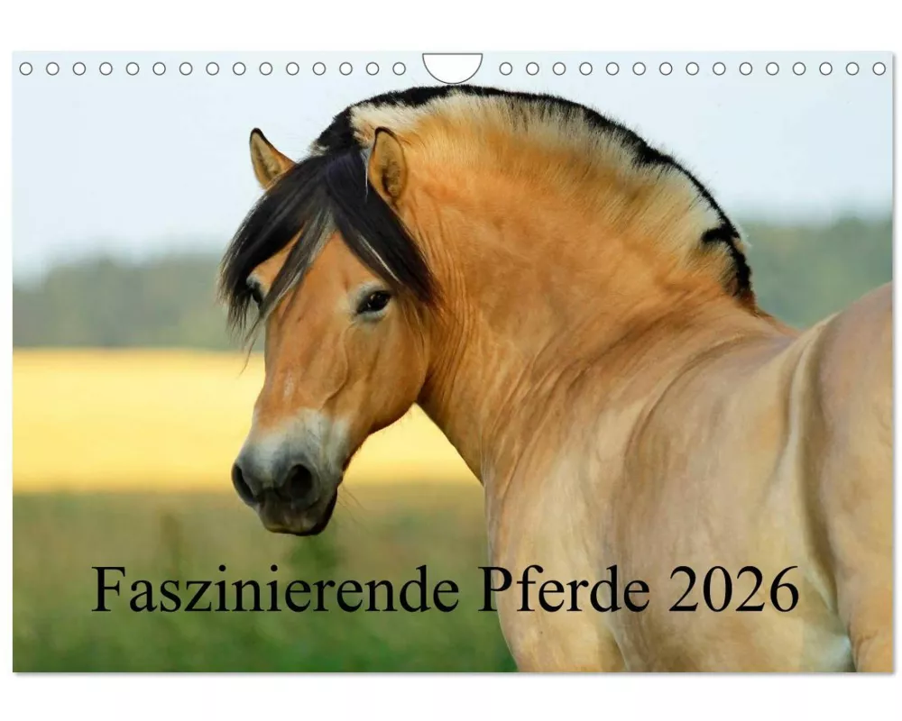 Faszinierende Pferde 2026 (Wandkalender 2026 DIN A4 quer), CALVENDO Monatskalender