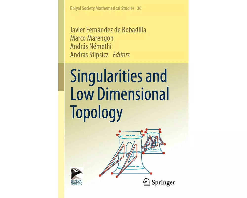 Singularities and Low Dimensional Topology