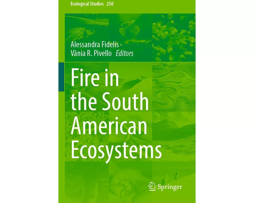 Fire in the South American Ecosystems