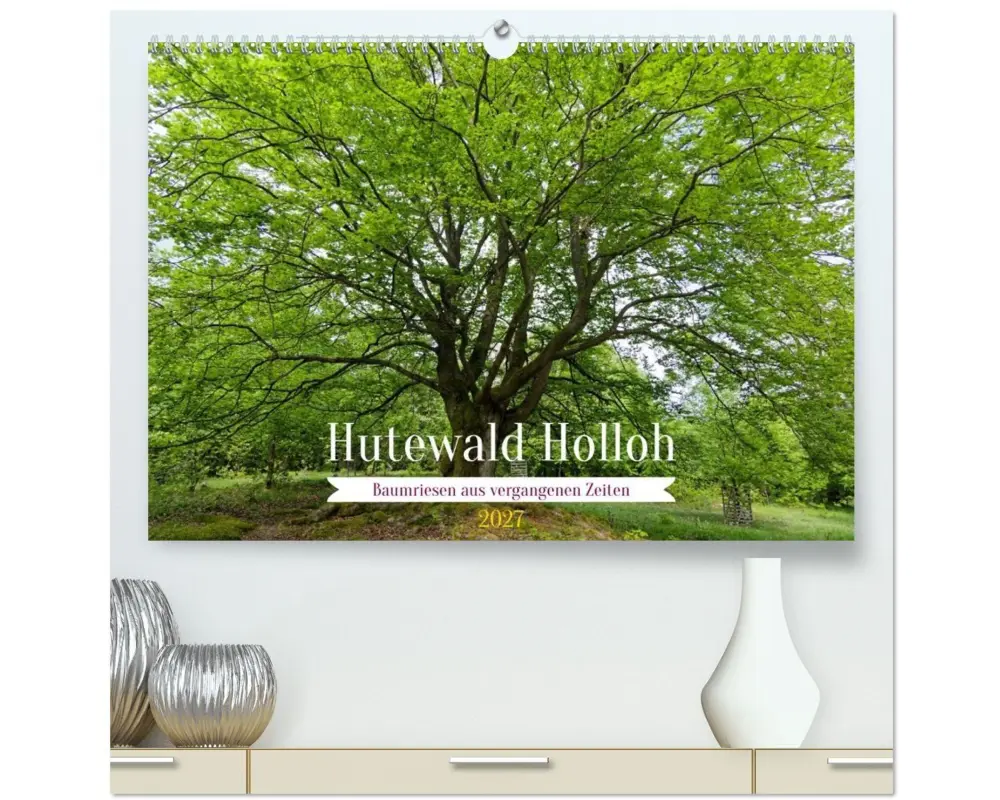 Hutewald Halloh - Baumriesen aus vergangenen Zeiten (hochwertiger Premium Wandkalender 2027 DIN A2 quer), Kunstdruck in Hochglanz