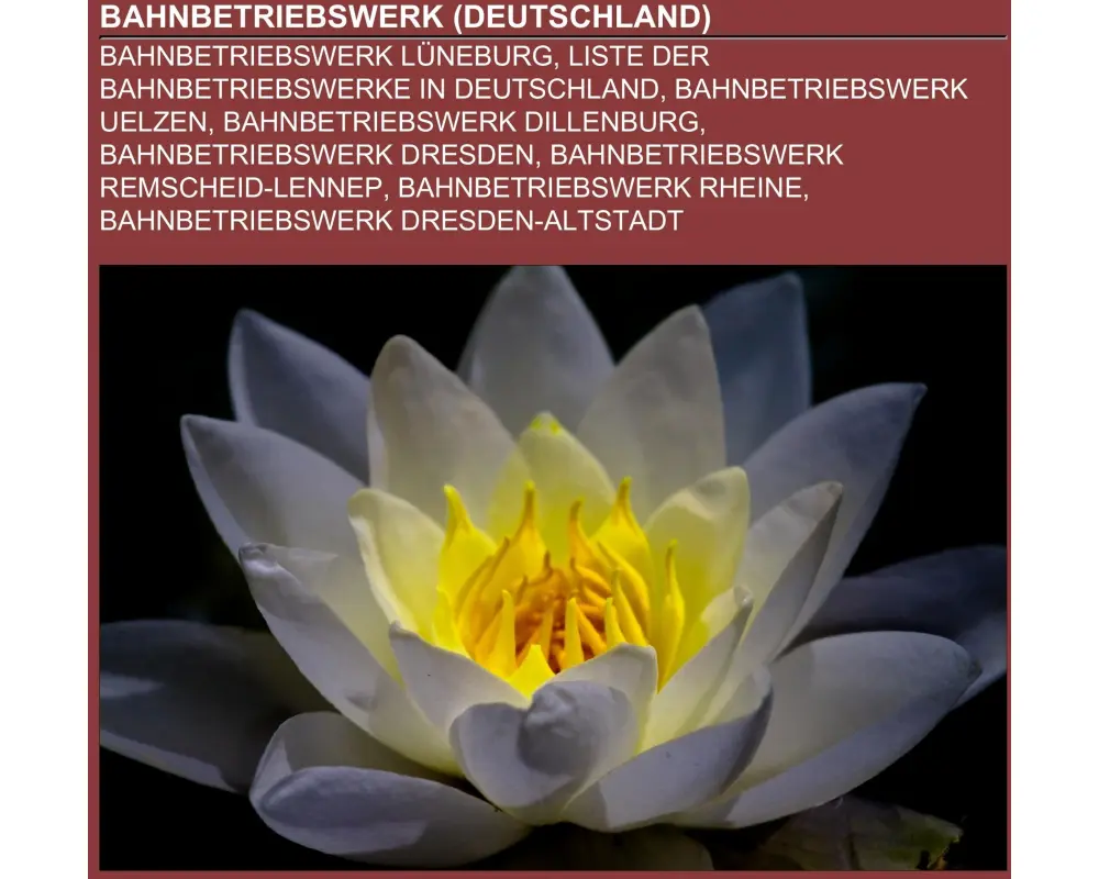 Bahnbetriebswerk (Deutschland)