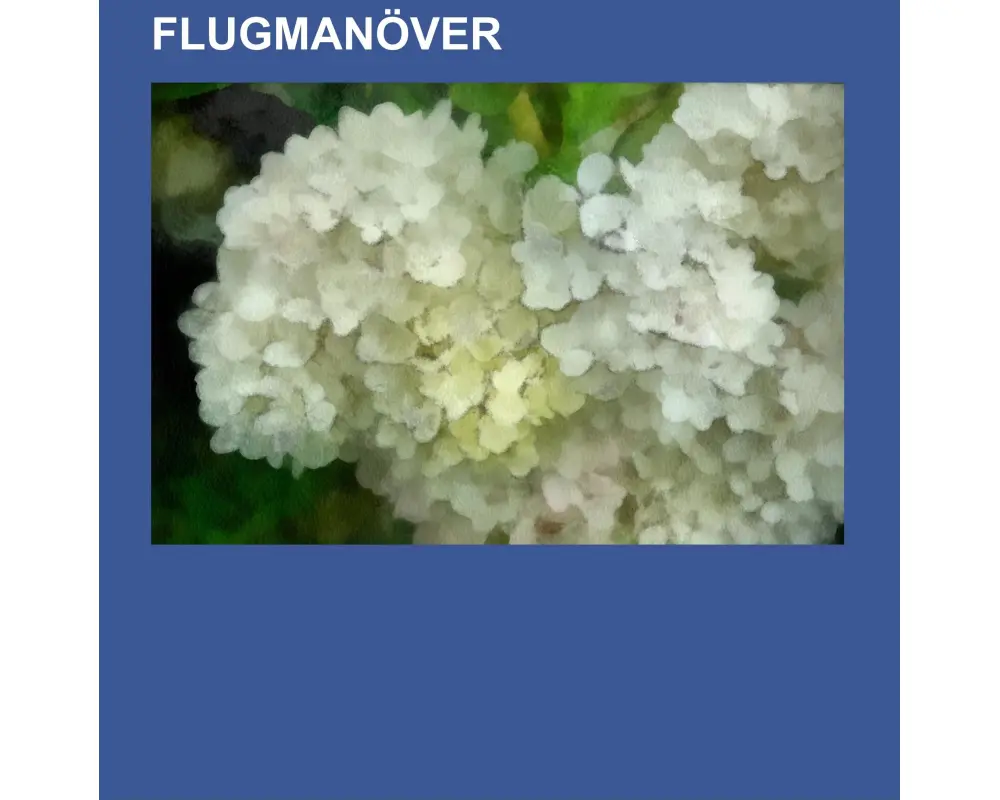 Flugmanöver