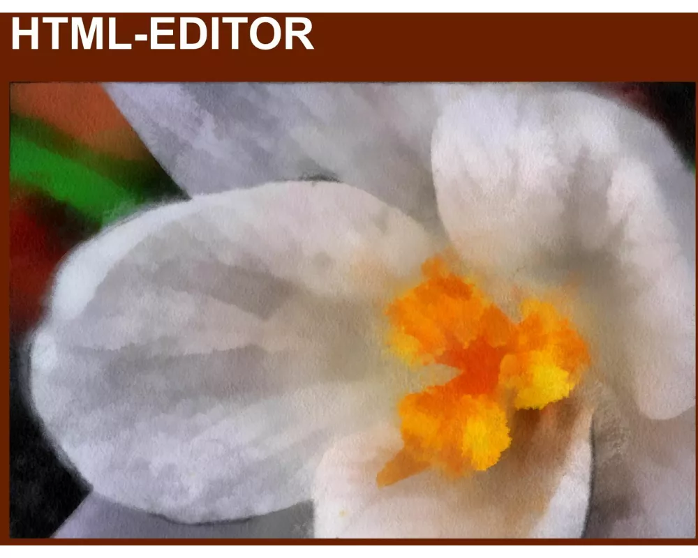 HTML-Editor