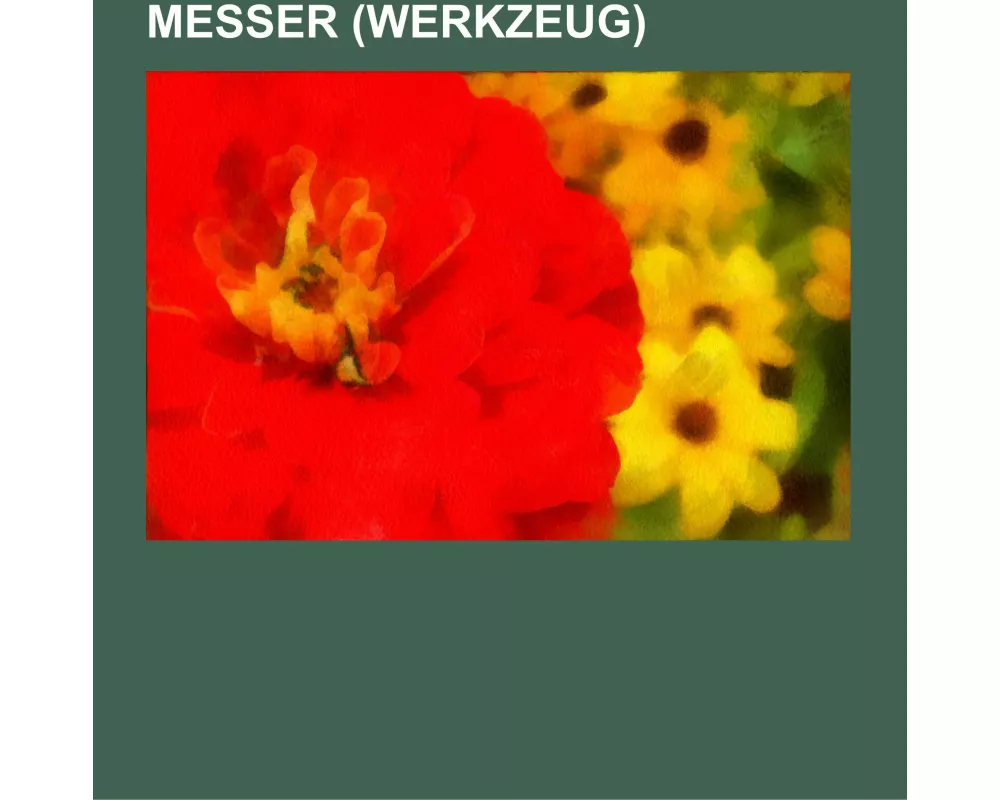 Messer (Werkzeug)