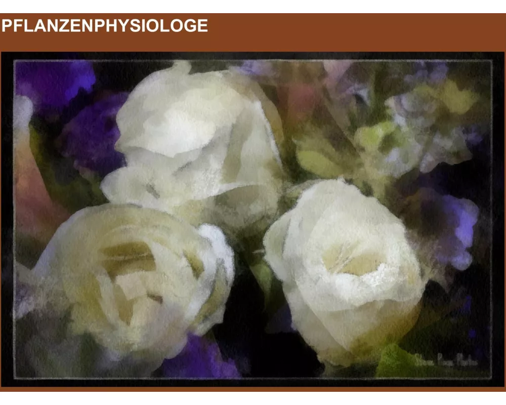 Pflanzenphysiologe