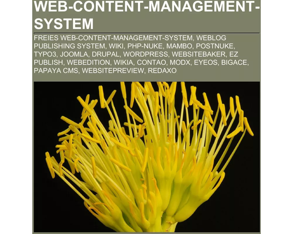 Web-Content-Management-System
