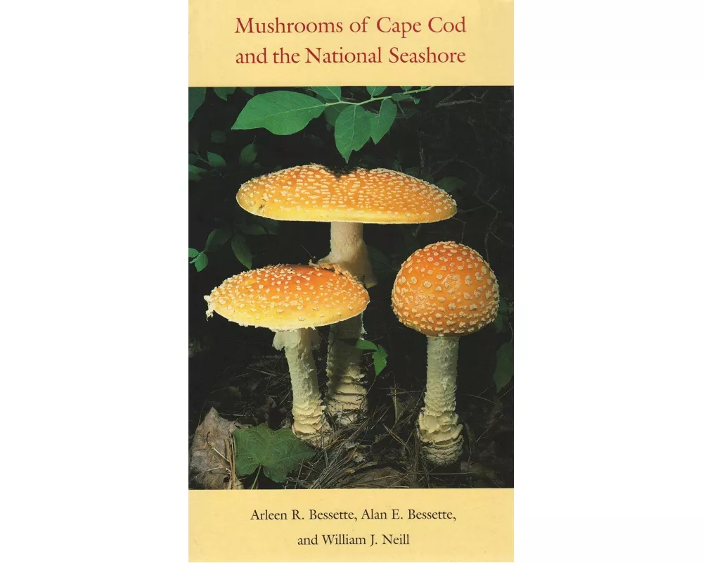Mushrooms of Cape Cod and the National Seashore