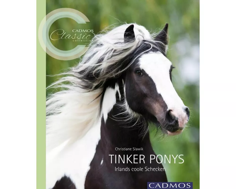 Tinker Ponys