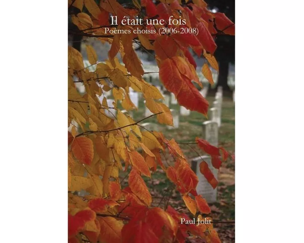 Il était une fois (poèmes choisis 2006-2008)
