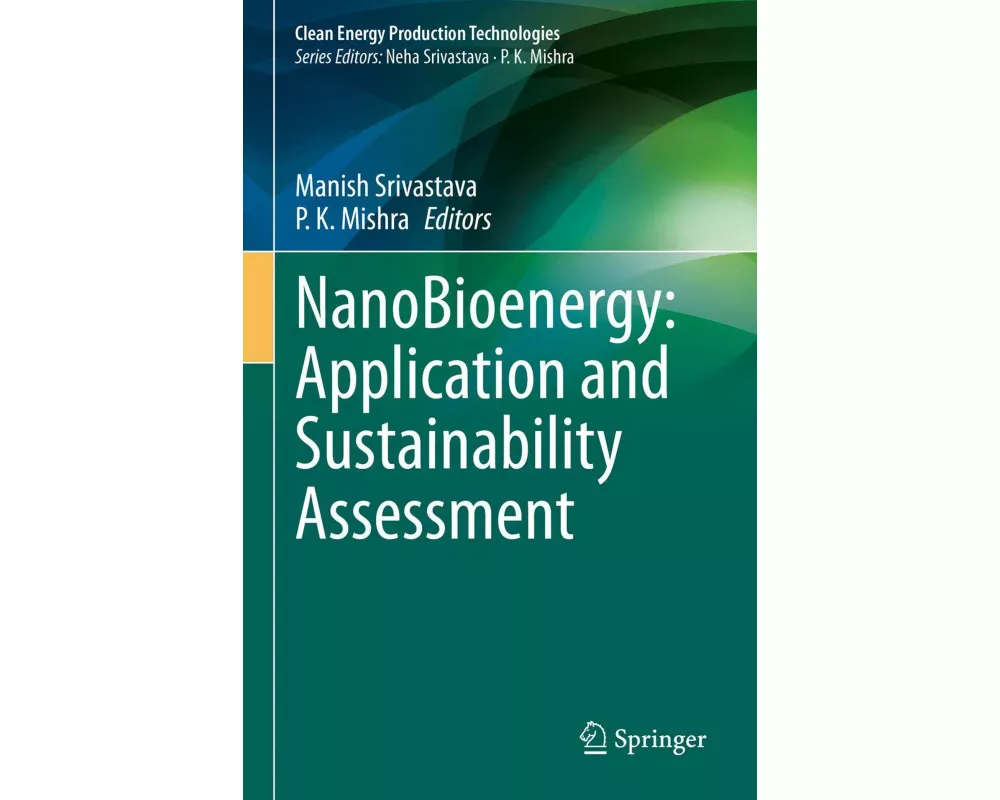 Nanobioenergy: Application and Sustainability Assessment