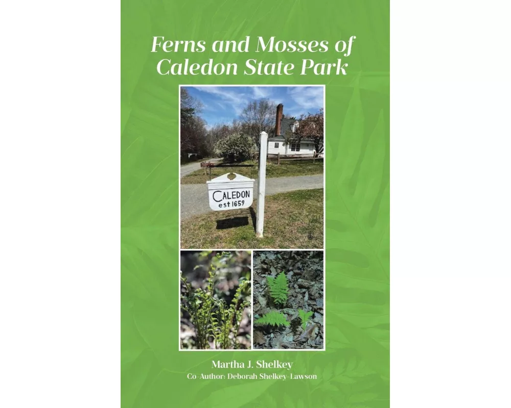 Ferns and Mosses of Caledon State Park