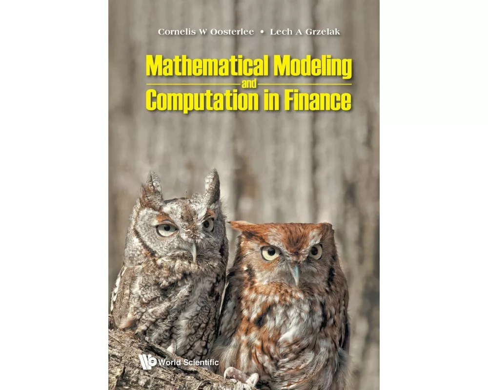 Mathematical Modeling and Computation in Finance
