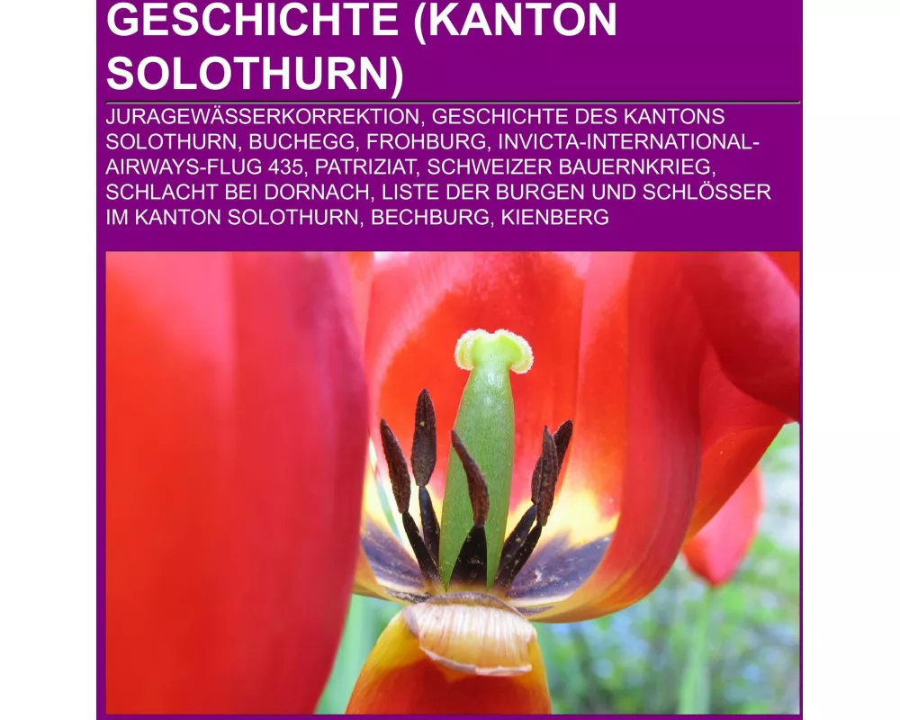 Geschichte (Kanton Solothurn)