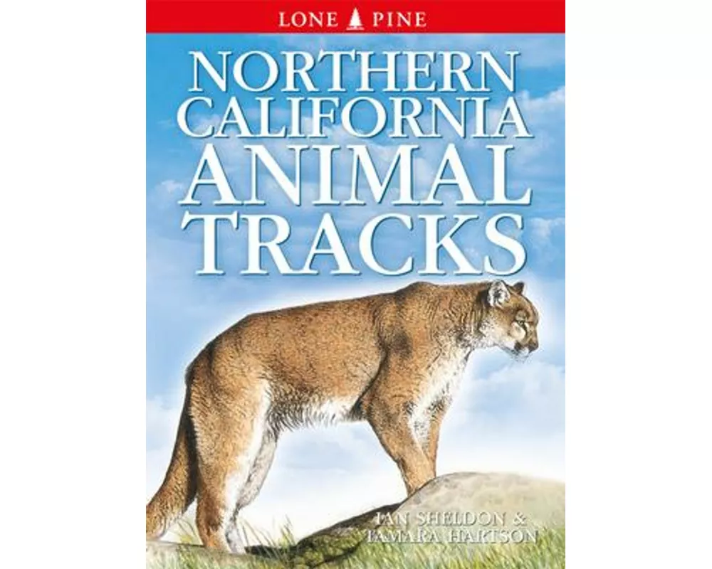 Northern California Animal Tracks