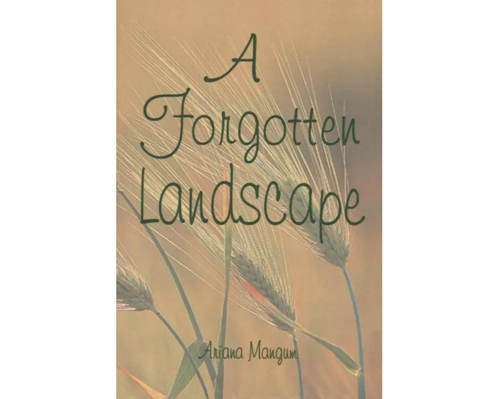 A Forgotten Landscape