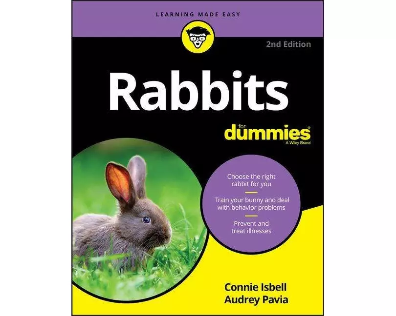 Rabbits For Dummies