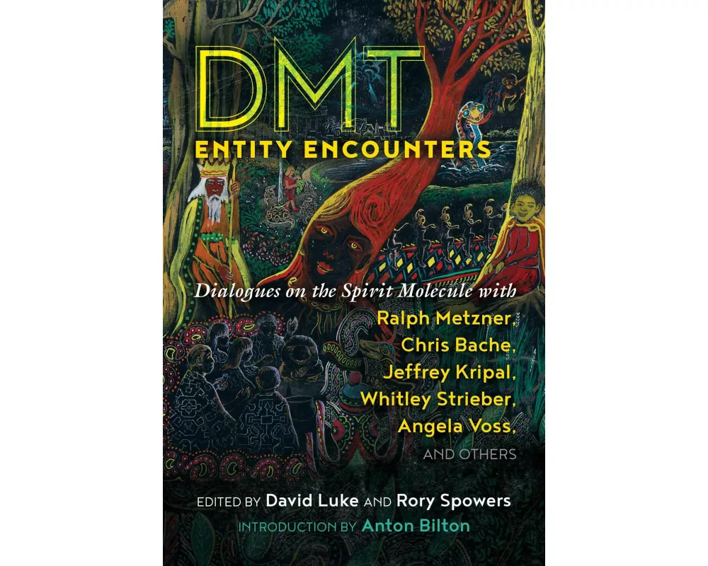 DMT Entity Encounters