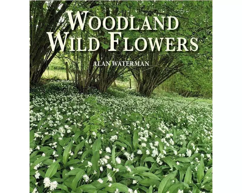 Woodland Wild Flowers