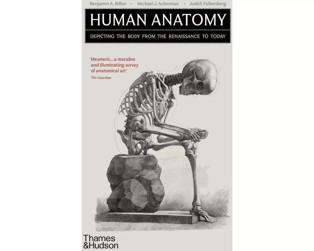 Human Anatomy