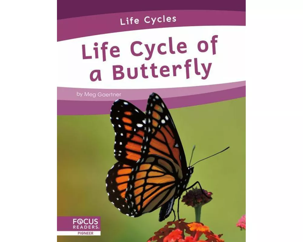 Life Cycle of a Butterfly