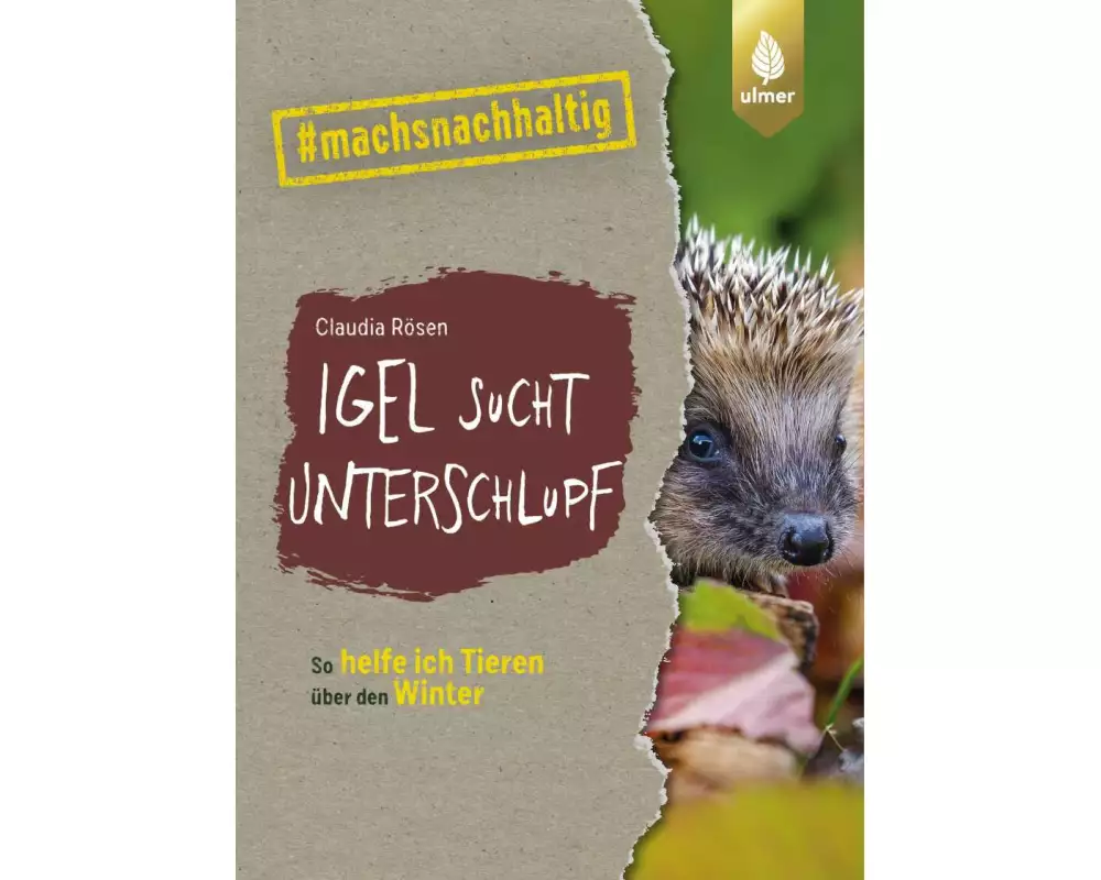 Igel sucht Unterschlupf