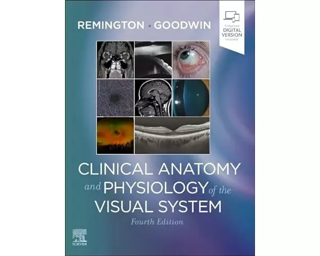 Clinical Anatomy and Physiology of the Visual System
