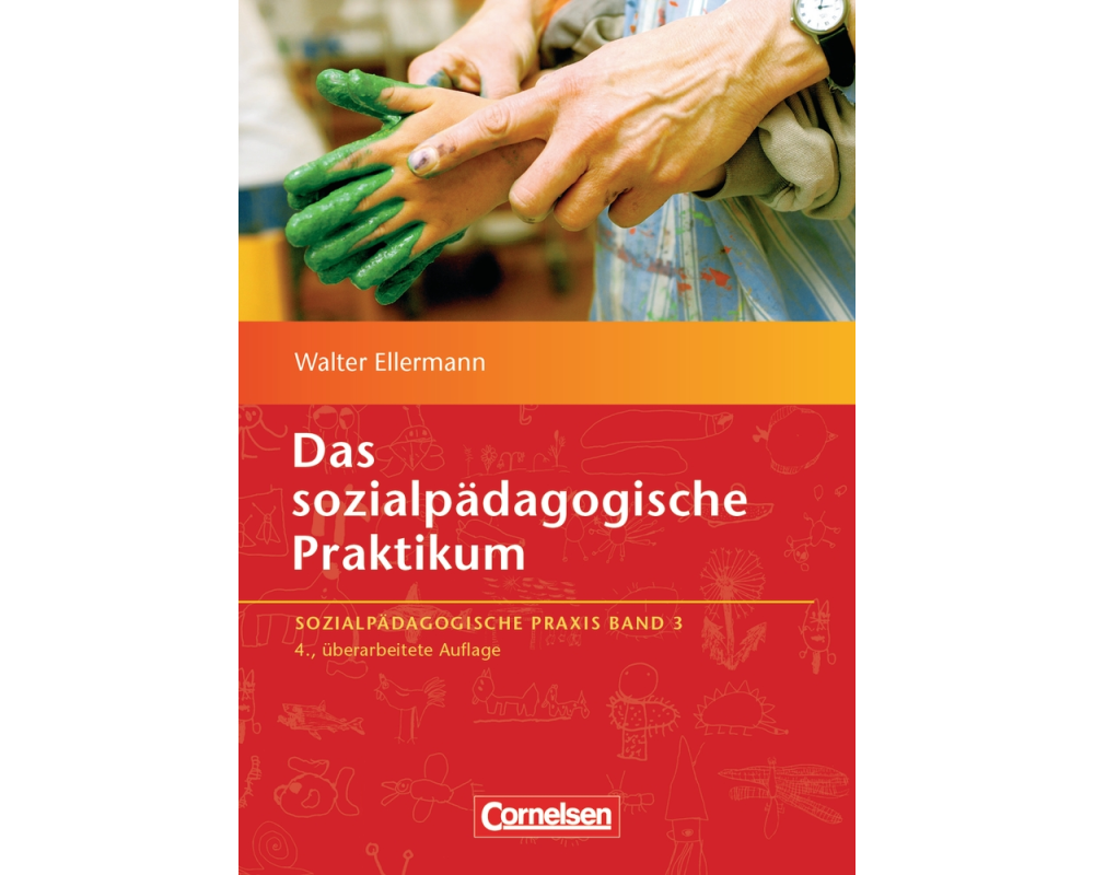 Das sozialpädagogische Praktikum - Band 3