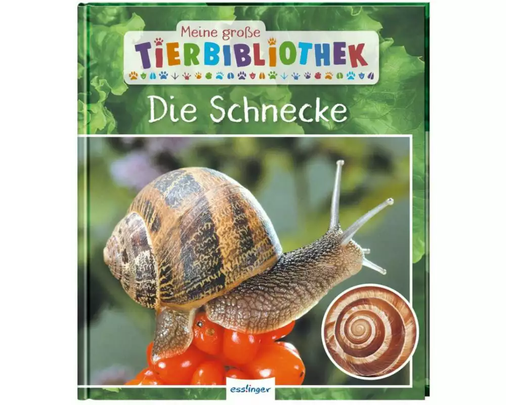 Meine große Tierbibliothek: Die Schnecke