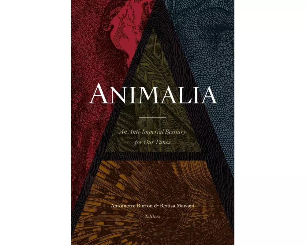 Animalia