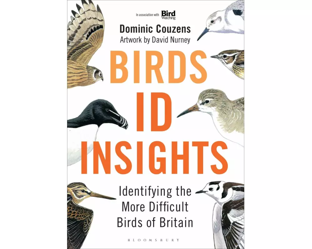 Birds: ID Insights