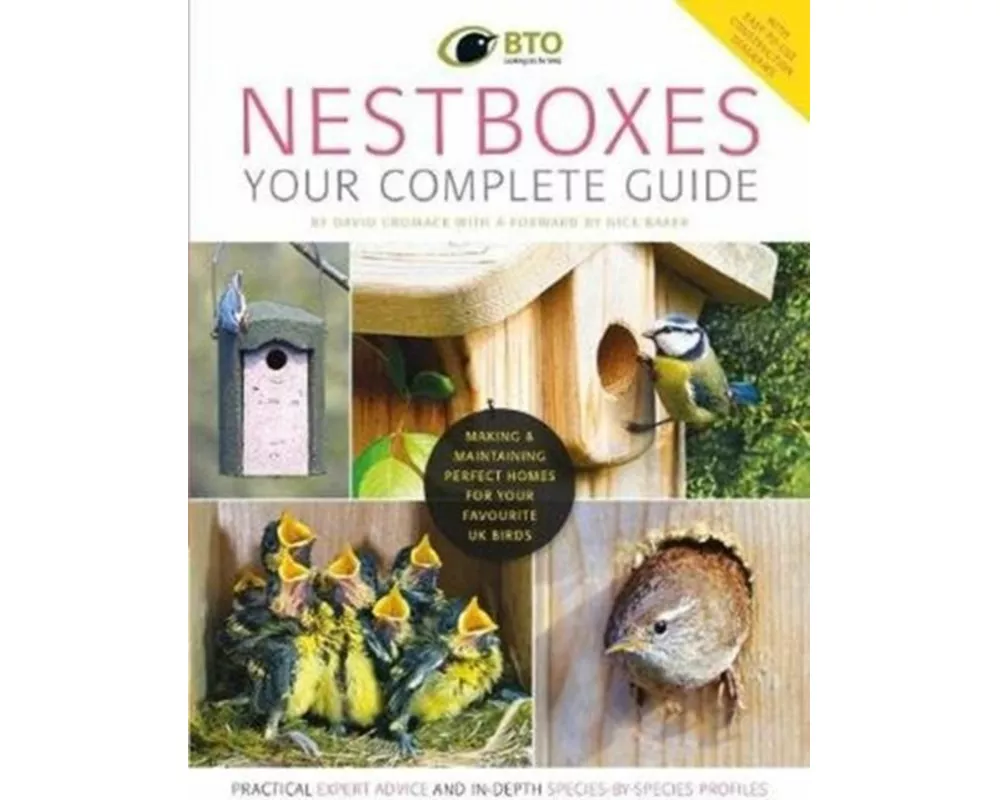 Nestboxes: Your Complete Guide