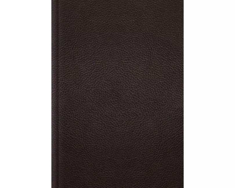 ESV Single Column Journaling Bible, Large Print