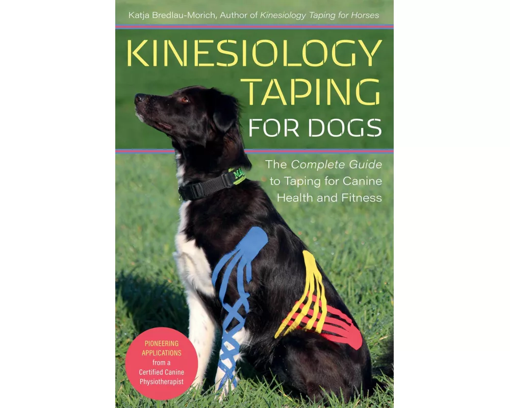 Kinesiology Taping for Dogs