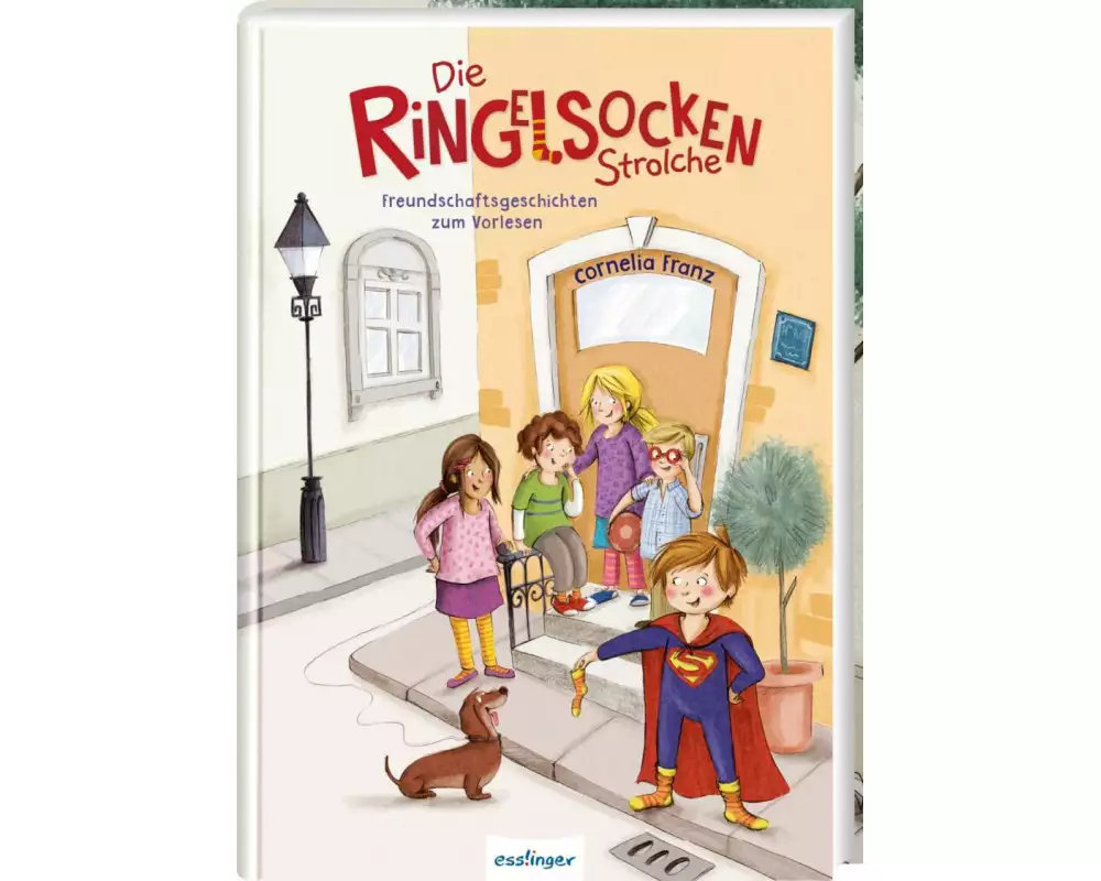 Die Ringelsocken-Strolche: Freundschaftsgeschichten zum Vorlesen ab 5 Jahren