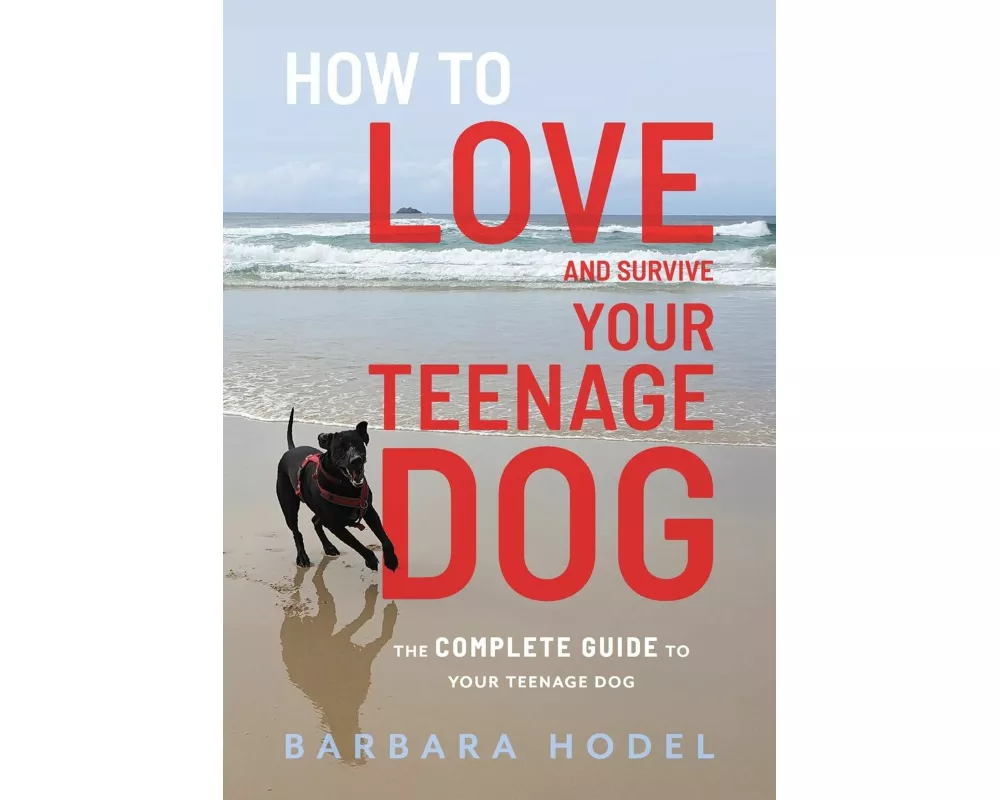 How to Love and Survive Your Teenage Dog
