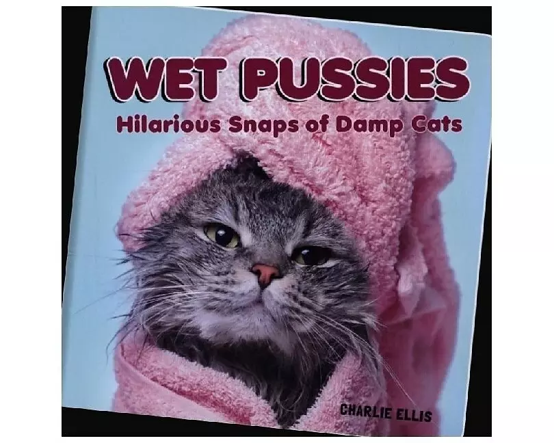 Wet Pussies